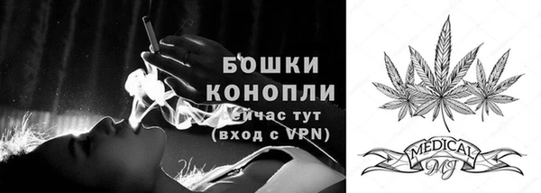 индика Беломорск