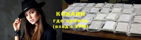винт Богданович