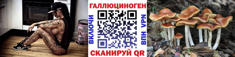 Галлюциногенные грибы GOLDEN TEACHER  kraken ССЫЛКА  Болгар 